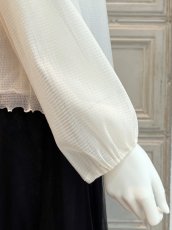 画像11: Pe/Wチュール スタンドネックフリル  (11)