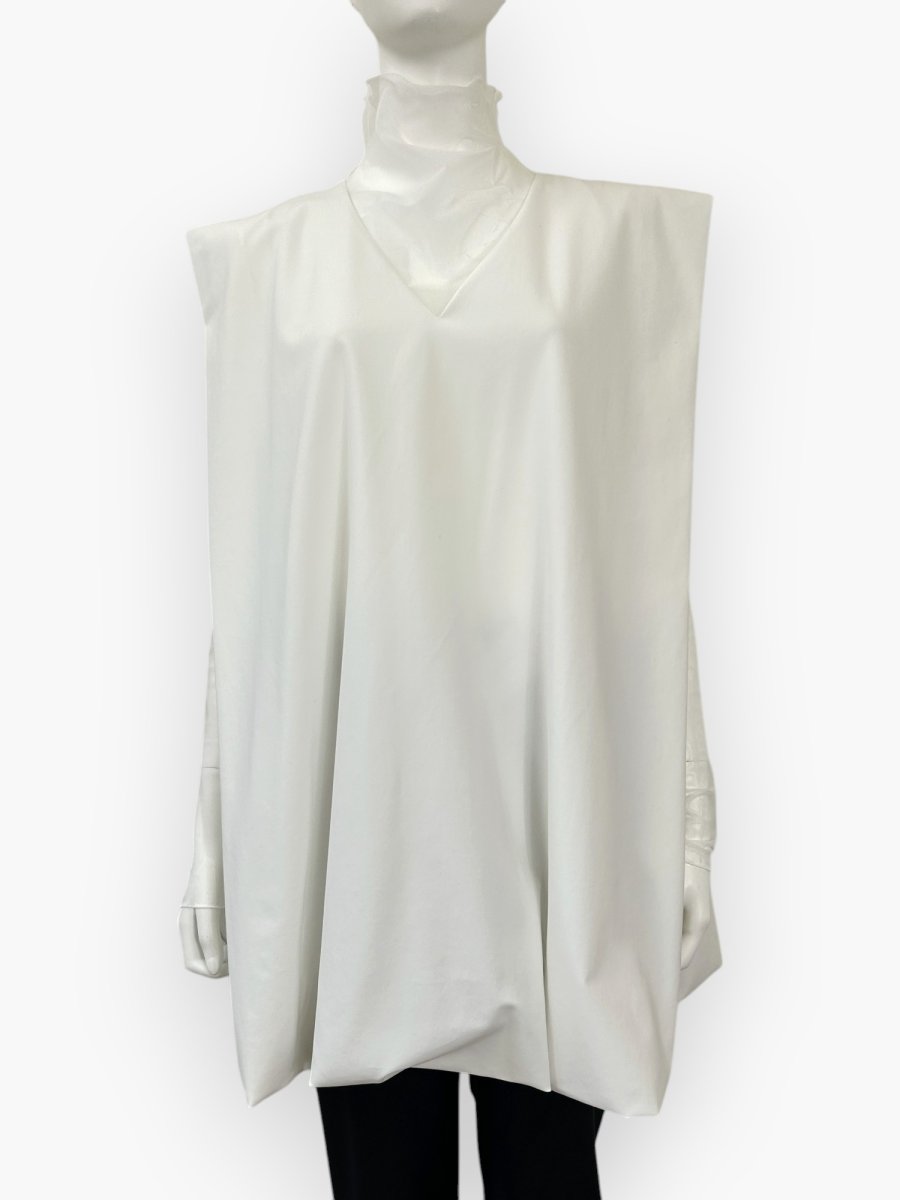 画像7: クリアーデンビー  (7)