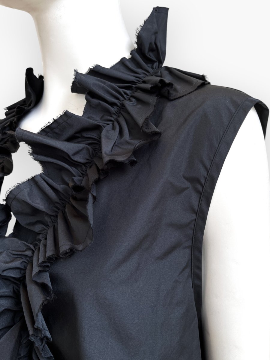 画像10: タフタ ベスト  (10)