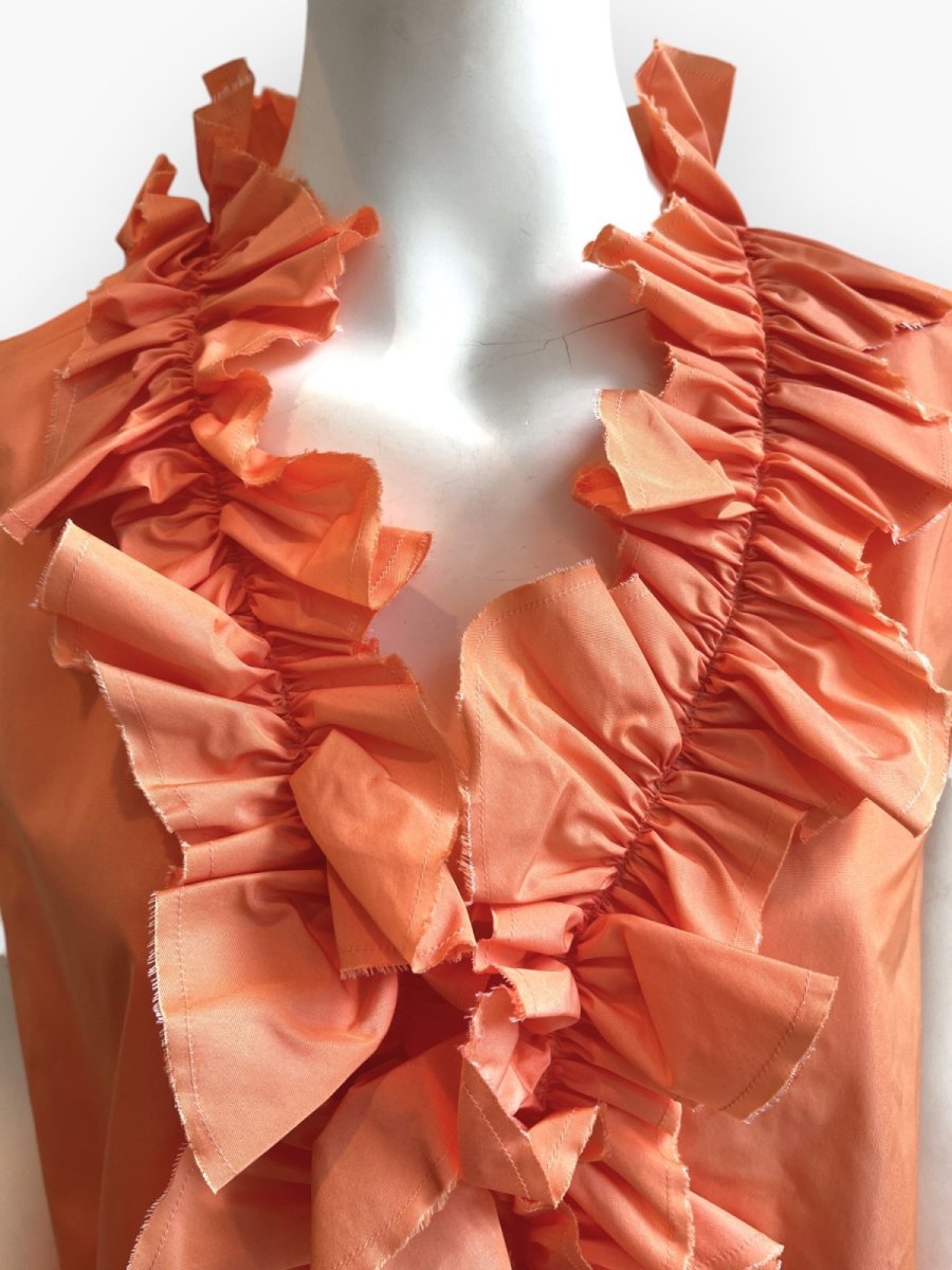 画像2: タフタ ベスト  (2)