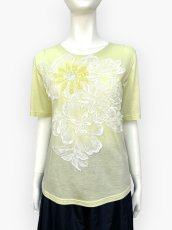 画像1: ソフト天竺　Tシャツ (1)