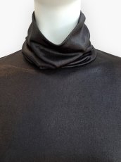 画像4: フェードホイル  (4)