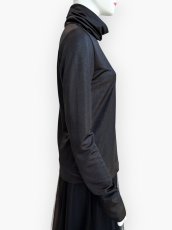 画像2: フェードホイル  (2)