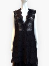 画像1: アイラッシュレース ジレ  (1)