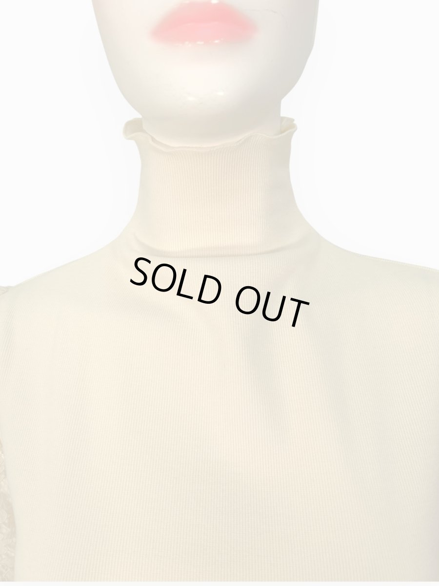 画像12: カラーフィット　カットソー  (12)