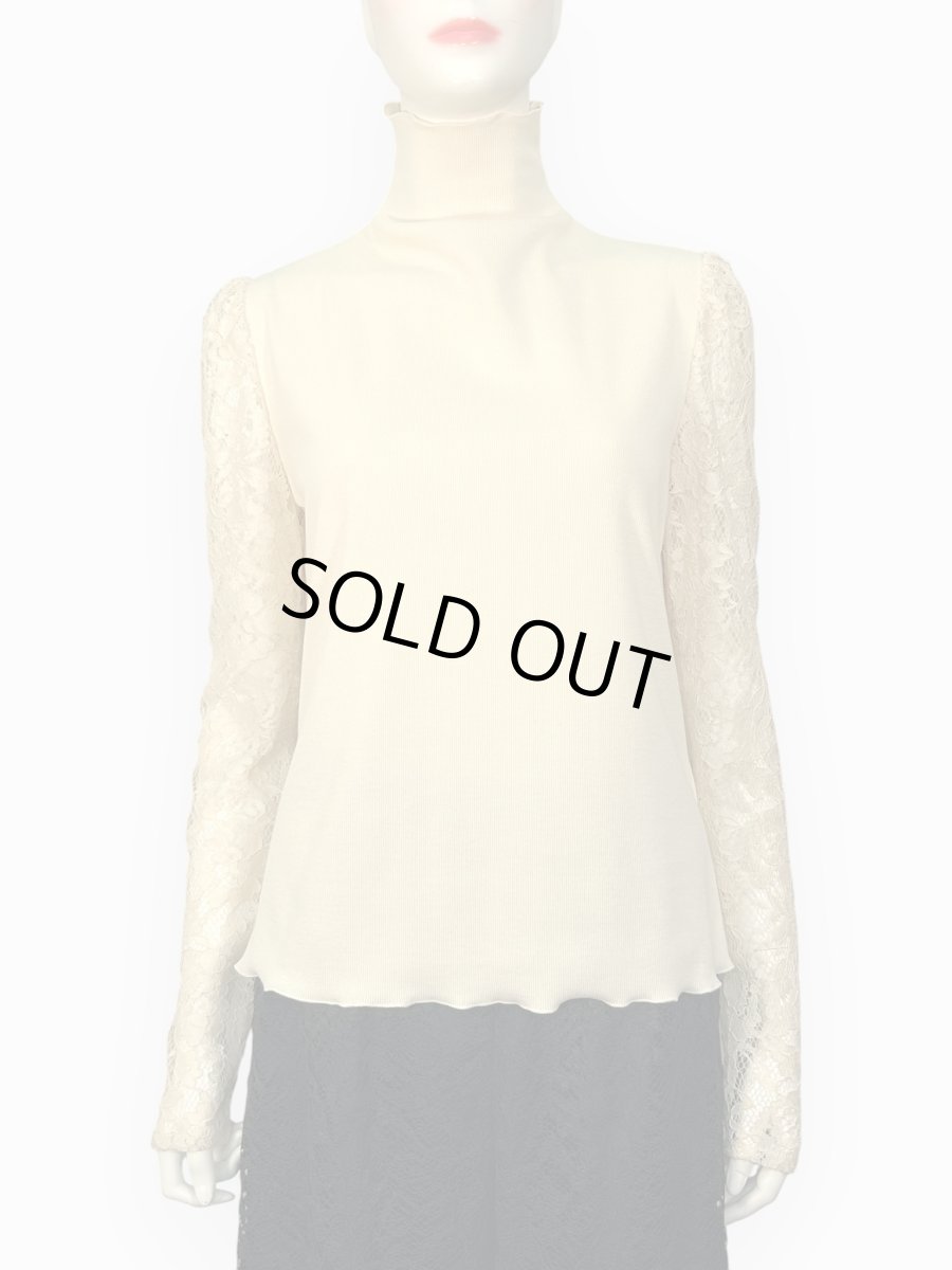 画像9: カラーフィット　カットソー  (9)