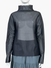 画像1: シアートリコット  (1)