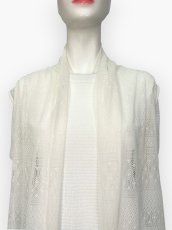 画像11: サークルボーダーレース　ジレ  (11)