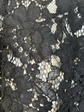 画像6: ダンテルレースジレ  (6)