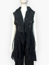 画像1: ダンテルレースジレ  (1)