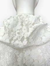 画像11: ダンテルレースジレ  (11)