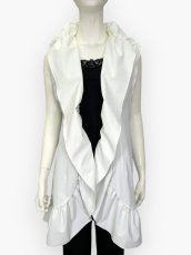 画像1: シェルジレ  (1)