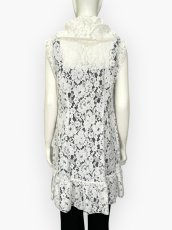 画像9: ダンテルレースジレ  (9)