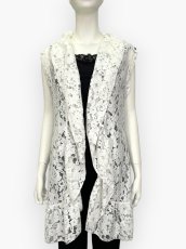 画像7: ダンテルレースジレ  (7)